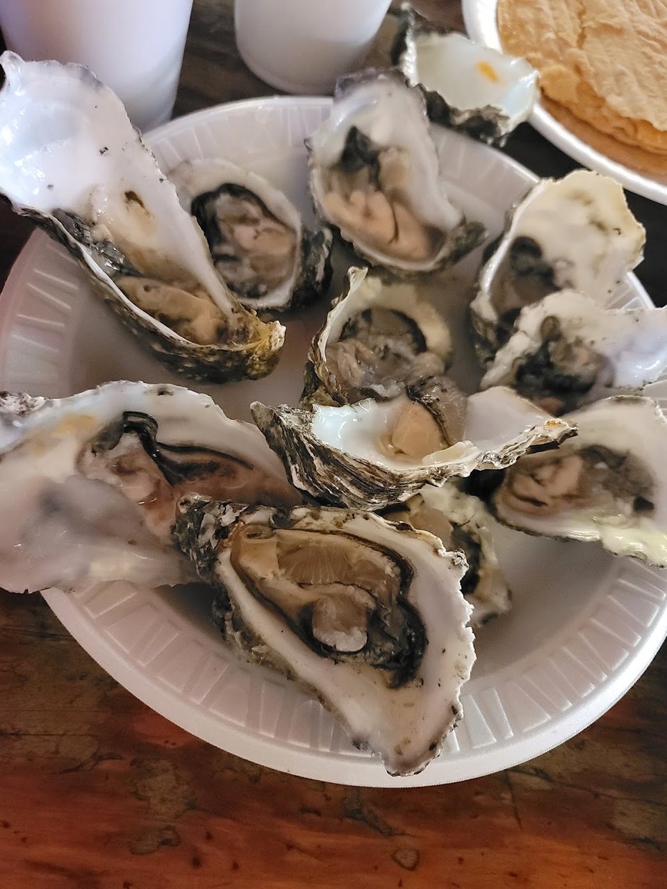 Oyster